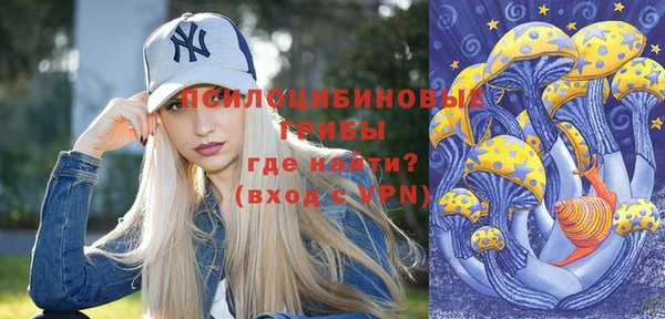 a pvp Дмитриев