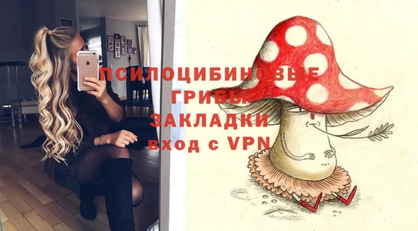 каннабис Дмитровск