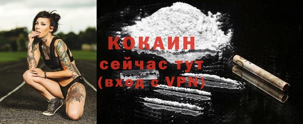 a pvp Дмитриев