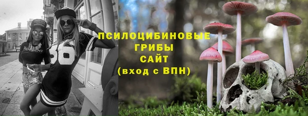 mdpv Дмитров