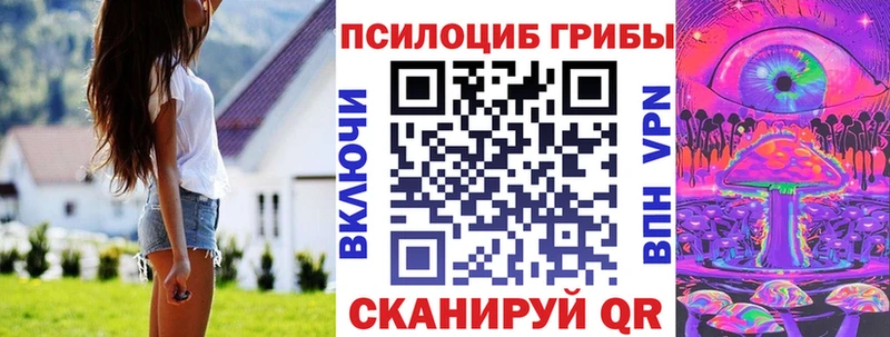 Купить закладки  Покров  Псилоцибиновые грибы Cubensis 